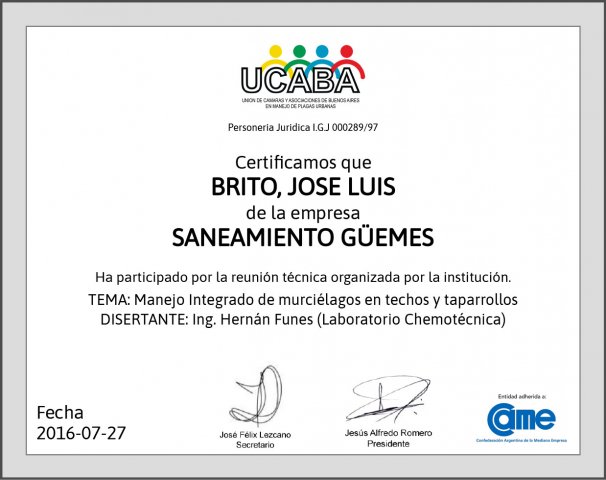 Certificado Murciélagos