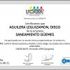 Certificado Arañas