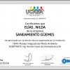 Certificado MIP