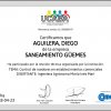Certificado Roedores